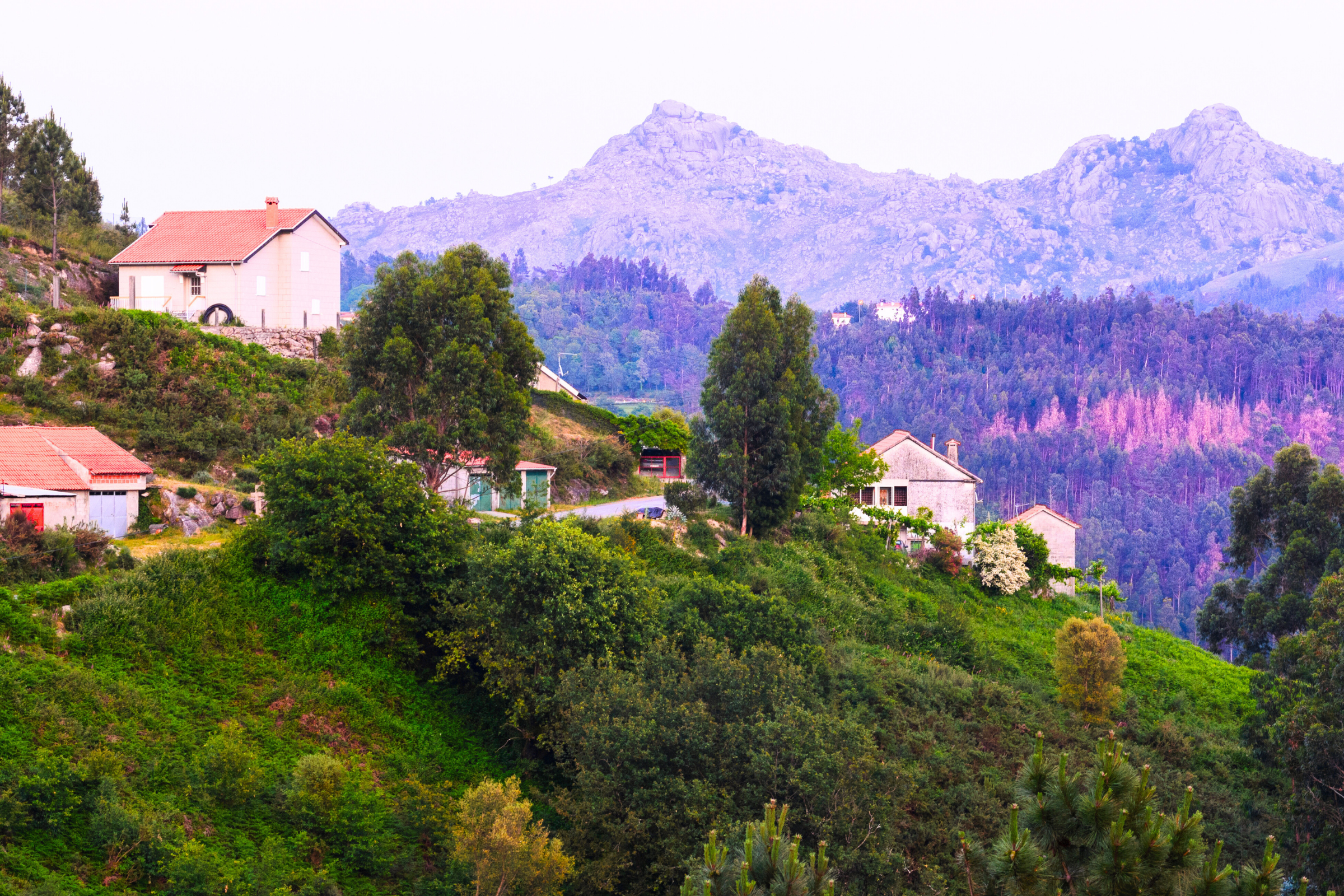 peneda geres national park (4).webp